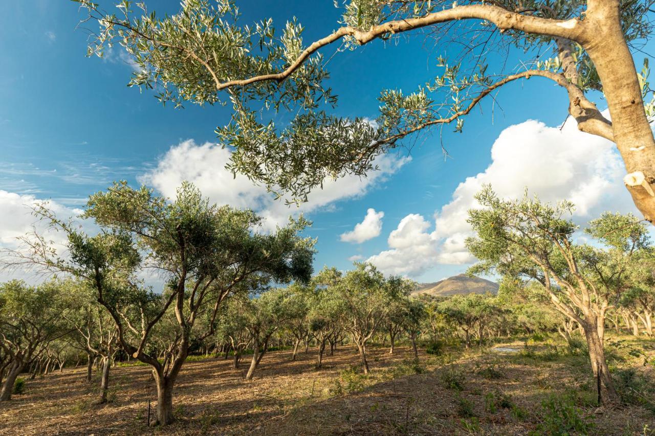 Solemar Sicilia - Le Casette Di Calzata كامبوفيليتْشّي دي روتْشّي المظهر الخارجي الصورة